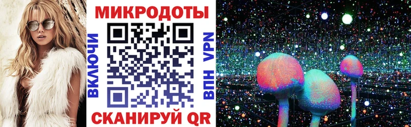 это клад  Саров  Псилоцибиновые грибы мухоморы  наркотики 